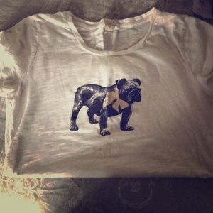 Fun and cute bulldog with a gold bow.